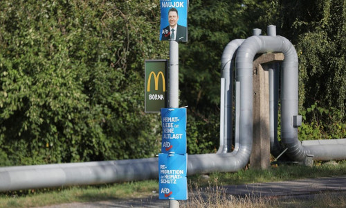 AfD-Wahlplakate zur Landtagswahl in Sachsen (Archiv)