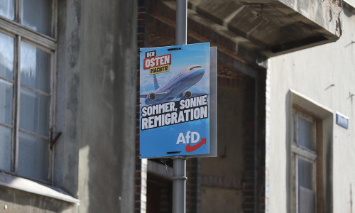 AfD-Wahlplakat zur Landtagswahl in Thüringen (Archiv)