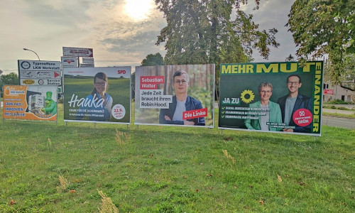 Wahlplakate zur Landtagswahl in Brandenburg (Archiv)