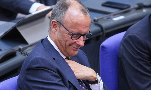 Friedrich Merz (Archiv)