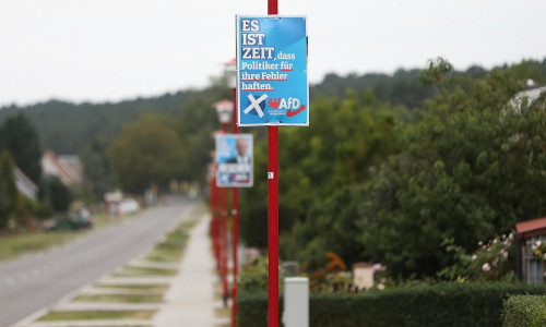 AfD-Wahlplakate zur Landtagswahl in Brandenburg (Archiv)