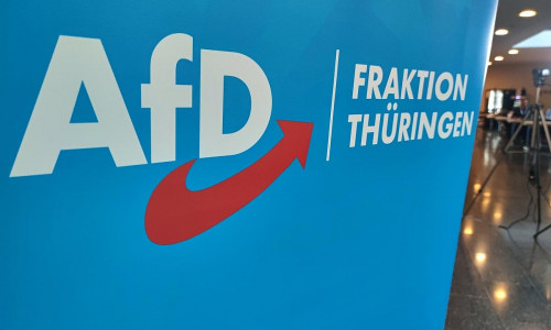 AfD-Fraktion im Thüringer Landtag (Archiv)