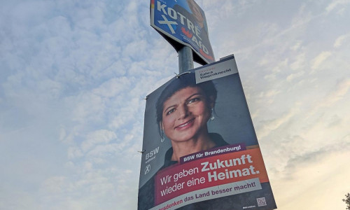 AfD- und BSW-Wahlplakat zur Landtagswahl in Brandenburg (Archiv)