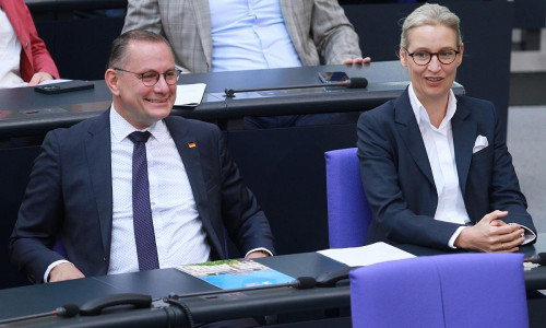 Tino Chrupalla und Alice Weidel (Archiv)