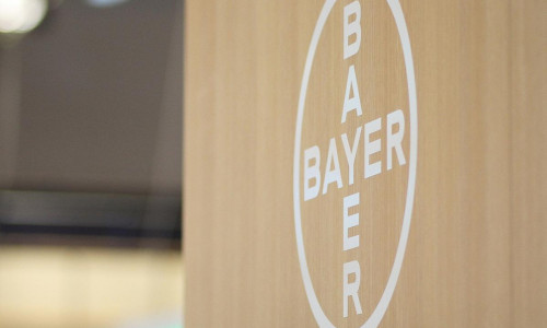 Logo von Bayer (Archiv)