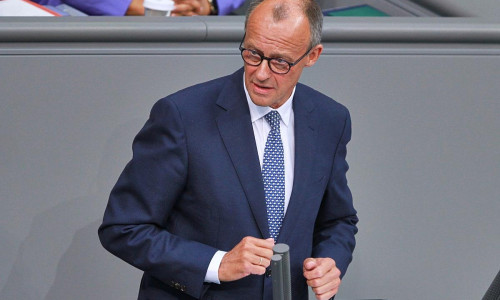 Friedrich Merz am 11.09.2024