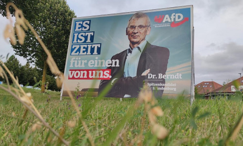 AfD-Wahlplakat mit Hans-Christoph Berndt zur Landtagswahl in Brandenburg (Archiv)