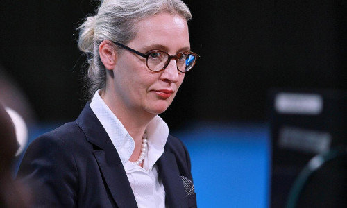 Alice Weidel (Archiv)