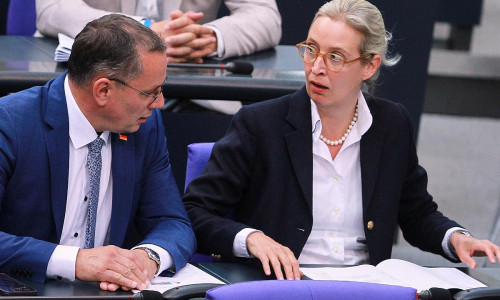 Tino Chrupalla und Alice Weidel (Archiv)