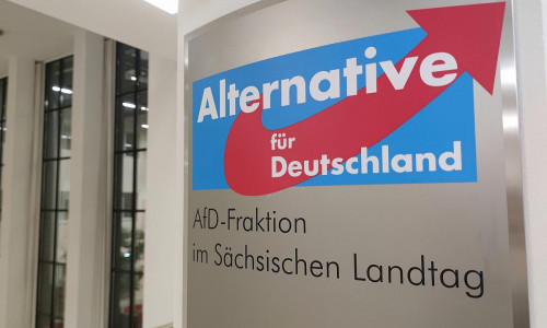 AfD-Fraktion im Sächsischen Landtag (Archiv)