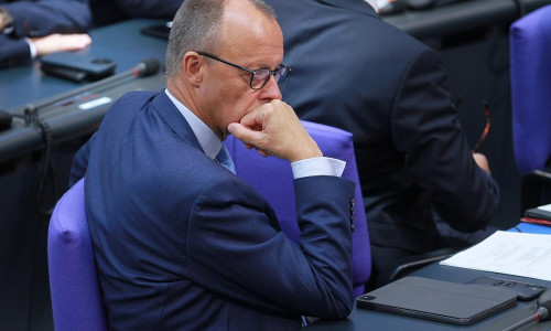 Friedrich Merz (Archiv)