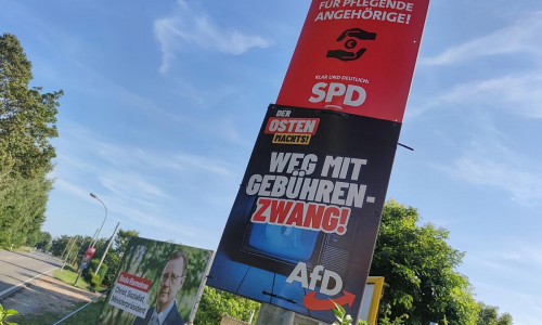 Wahlplakate von AfD und SPD zur Landtagswahl in Thüringen (Archiv)