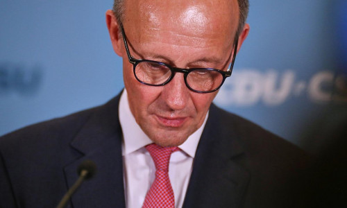 Friedrich Merz am 31.01.2025