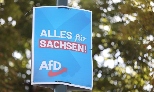 AfD-Wahlplakat zur Landtagswahl in Sachsen (Archiv)