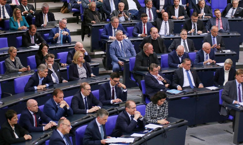 Fraktionen von CDU/CSU und AfD im Bundestag am 29.01.2025