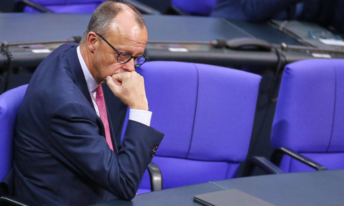 Friedrich Merz am 31.01.2025