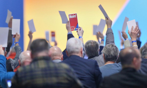 Abstimmung auf AfD-Parteitag am 12.01.2025