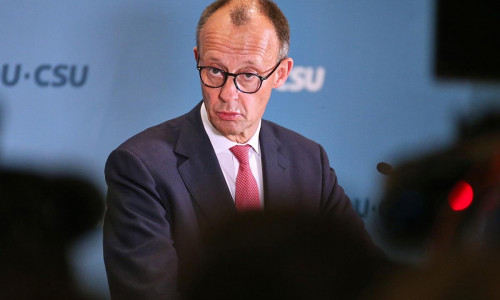 Friedrich Merz am 31.01.2025