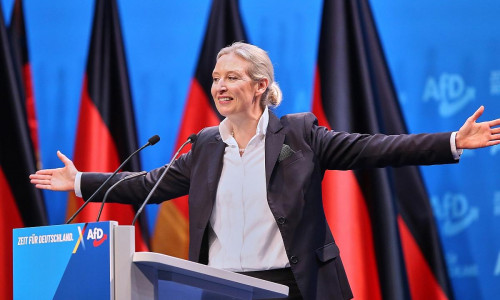 Alice Weidel am 11.01.2025