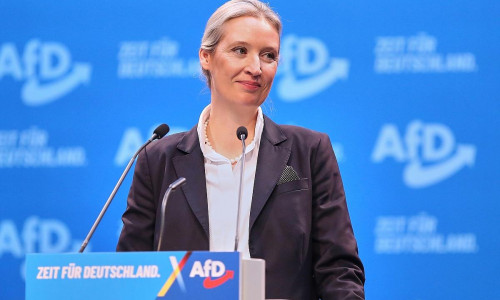 Alice Weidel (Archiv)