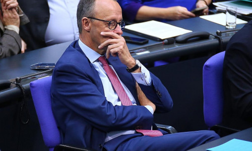 Friedrich Merz (Archiv)