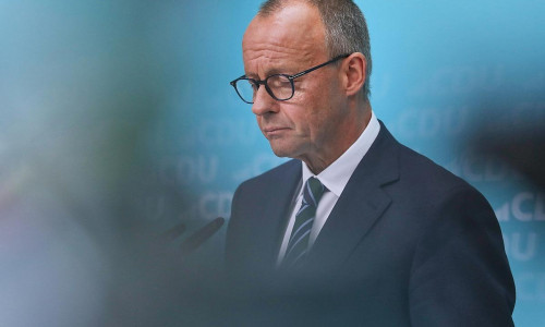 Friedrich Merz (Archiv)