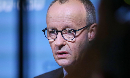 Friedrich Merz (Archiv)