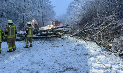 Bäume stürzten unter der schweren Schneelast um und mussten von der Feuerwehr geräumt werden.