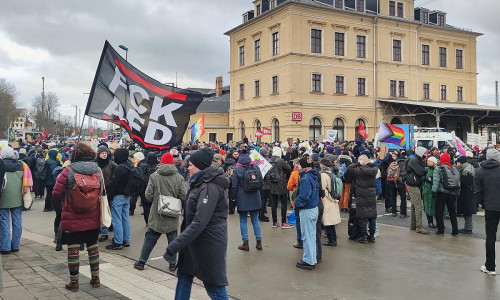 Protest gegen AfD-Parteitag am 11.01.2025