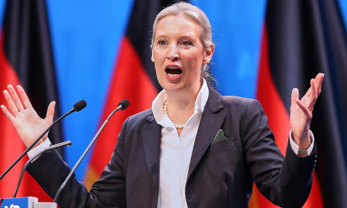 Alice Weidel (Archiv)