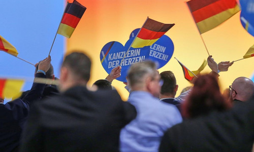 Deutschlandfahnen auf AfD-Parteitag (Archiv)