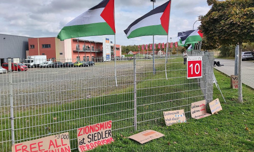 Pro-Palästina-Protest vor Linken-Parteitag (Archiv)