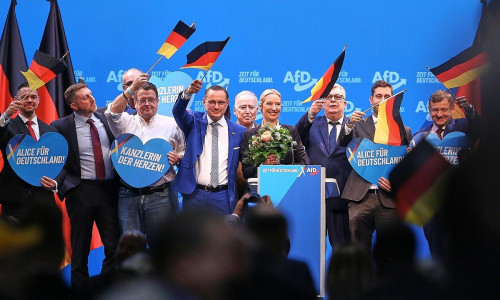 AfD-Spitze um Alice Weidel am 11.01.2025