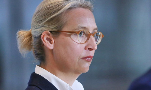 Alice Weidel (Archiv)