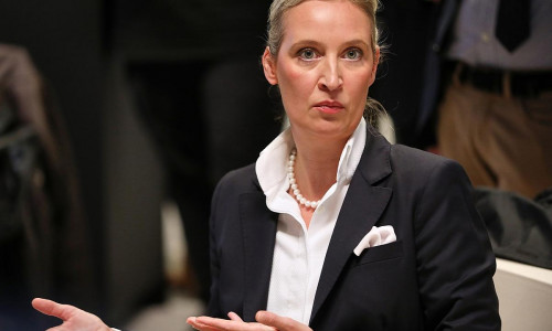 Alice Weidel (Archiv)