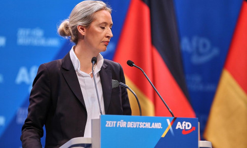 Alice Weidel am 11.01.2025