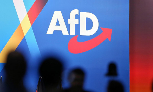 AfD-Logo auf Parteitag am 12.01.2025