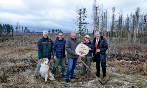 v.l.: Michael Rudolph (Niedersächsische Landesforsten), Malte Heinemann (fit4future foundation), Jürgen Brinkmann (Volksbank BRAWO), Josefine Barke (Niedersächsische Landesforsten) und Thomas Fast (Vorstandsvorsitzender der Volksbank BRAWO Stiftung) pflanzen die ersten Bäume des Aufforstungsprojekts ‚Harz Helfer‘ auf der Fläche nahe Bad Harzburg.