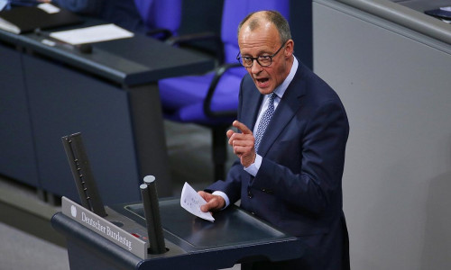 Friedrich Merz am 29.01.2025