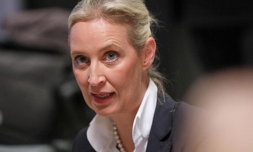 Alice Weidel (Archiv)