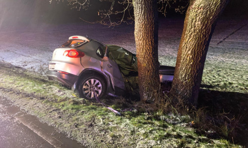 Der Fahrer konnte nur noch tot geborgen werden.