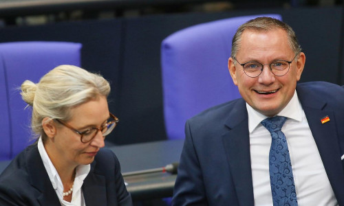 Alice Weidel und Tino Chrupalla (Archiv)