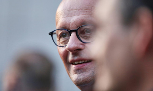 Friedrich Merz (Archiv)