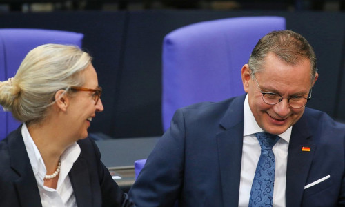 Alice Weidel und Tino Chrupalla (Archiv)