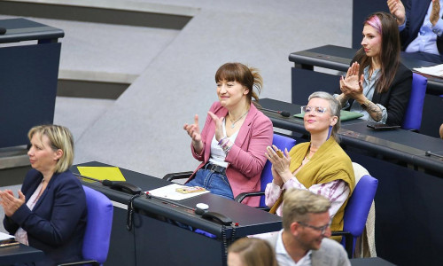 Linke-Bundestagsfraktion (Archiv)