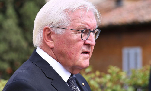 Frank-Walter Steinmeier (Archiv)
