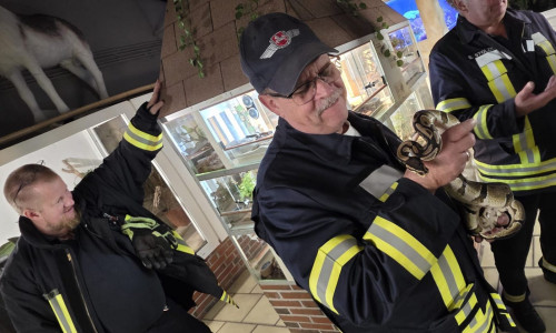 Die Feuerwehr nahm Kontakt mit den Schlangen auf.