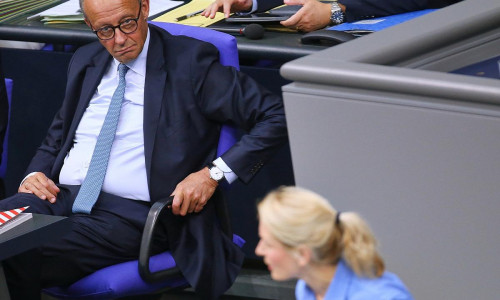 Friedrich Merz und Ines Schwerdtner (Archiv)