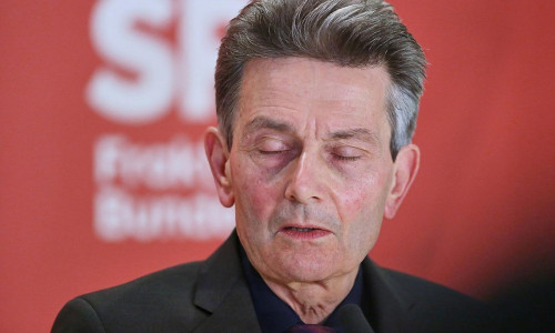 Rolf Mützenich (Archiv)