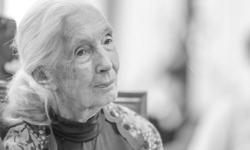 Jane Goodall in Malaga